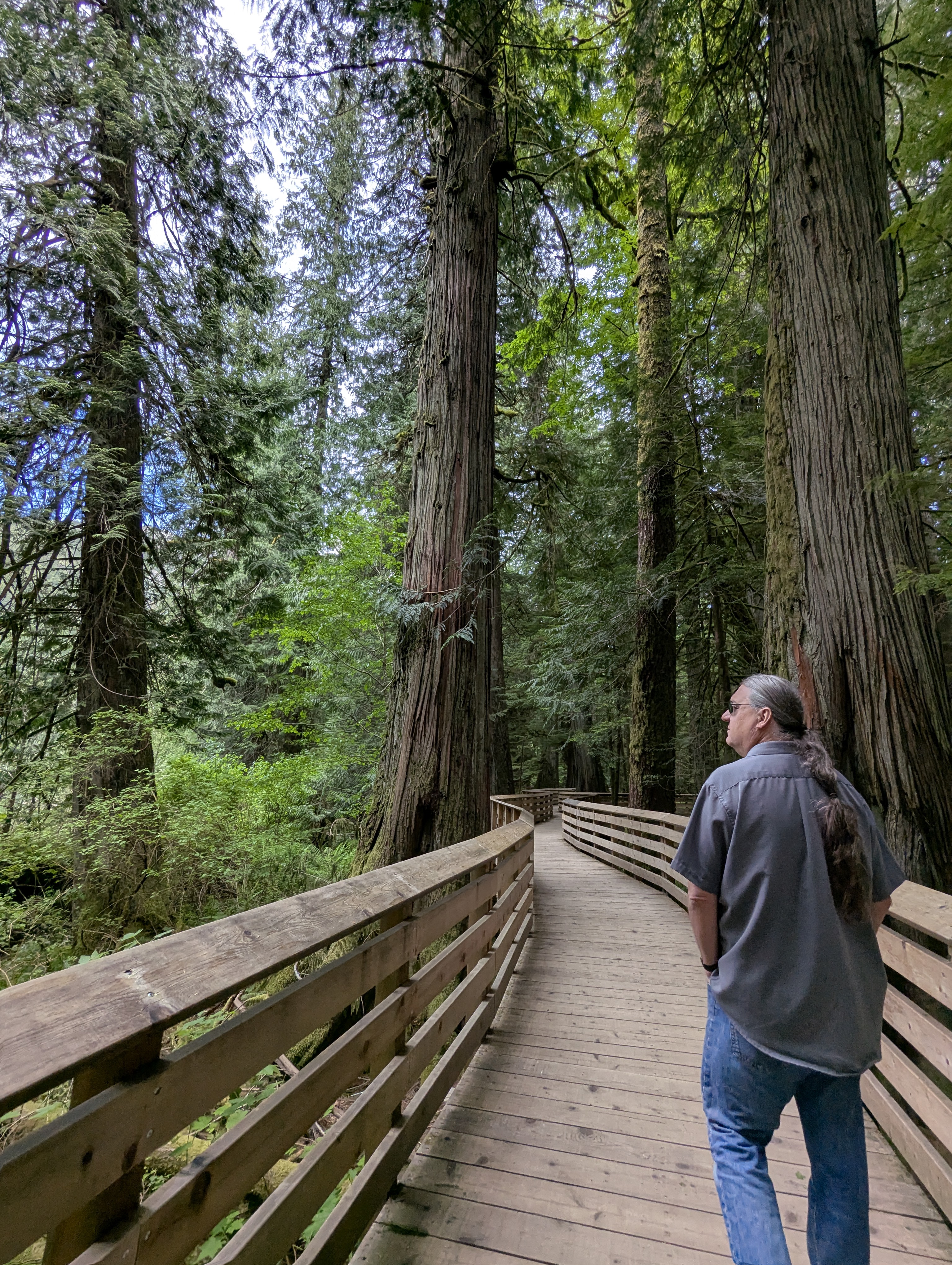 Birthday Trip to Canada, Cathedral Grove, Vancouver Island